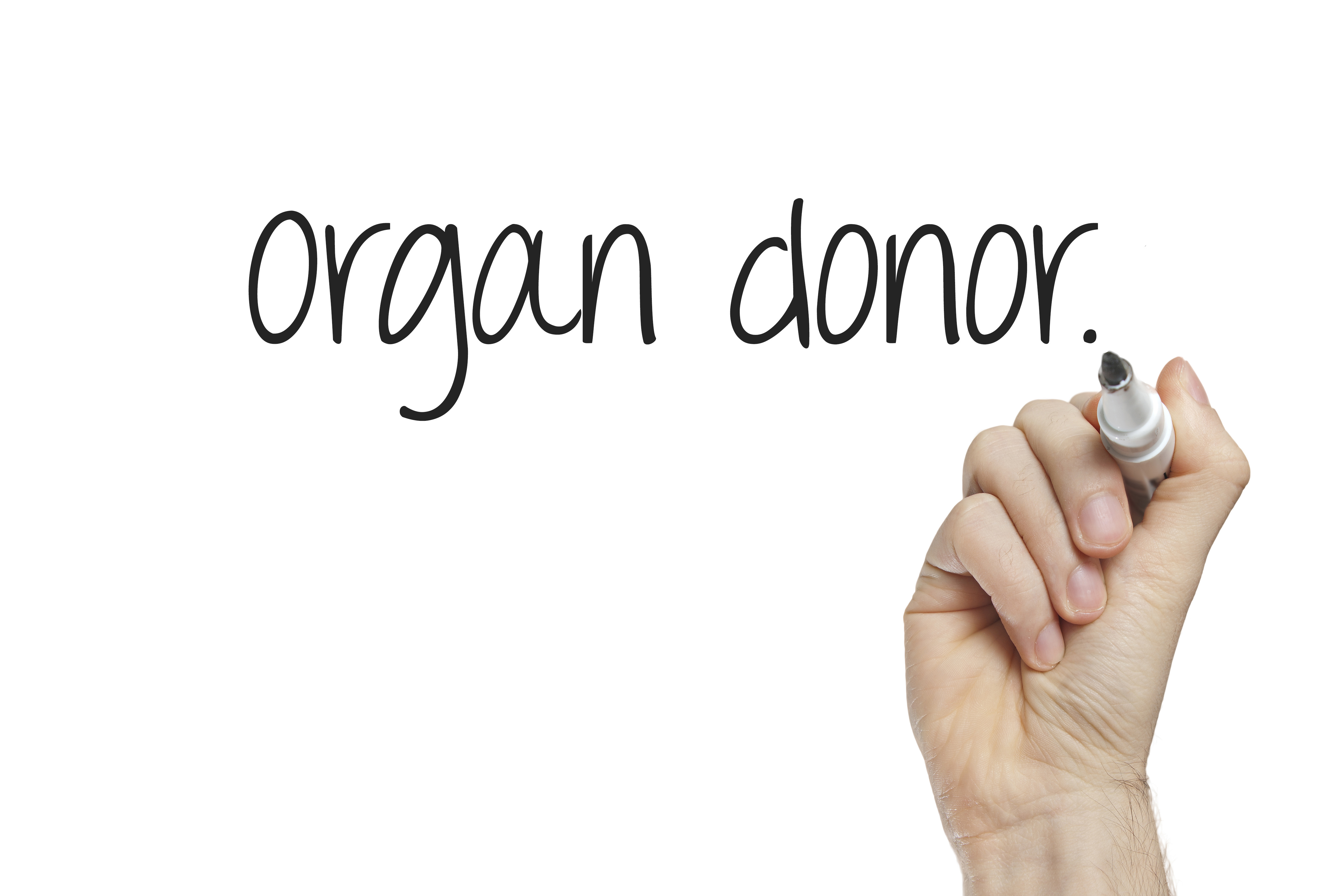 speak-to-your-family-about-organ-donation-nidirect