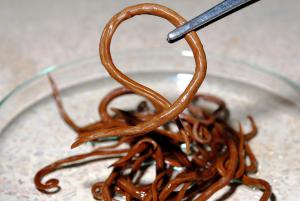 worms in humans poop