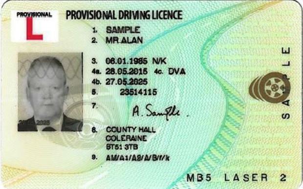 different types of licenses provisional