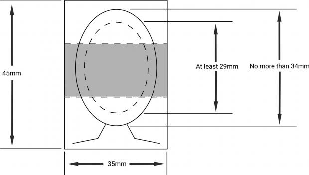 Diagram showing the dimensions needed for a driving licence photograph