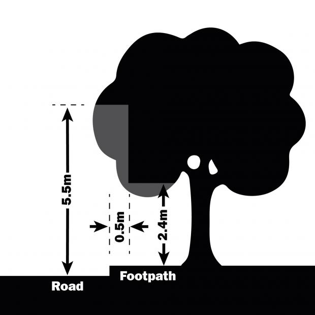 Diagram showing clearance heights for roadside or footpath trees and hedges